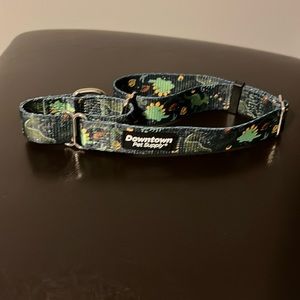 Dinosaur Dog Collar
